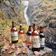 Best Breweries in the Lake District